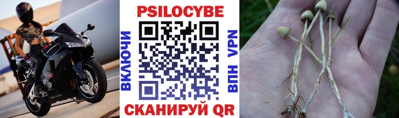 Псилоцибиновые грибы Psilocybine cubensis  цена   Ермолино 