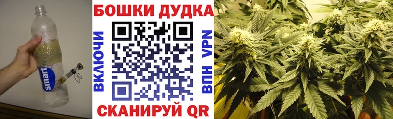 Бошки Шишки индика  Ермолино 